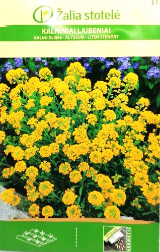 Alyssum Mountain Gold Seeds